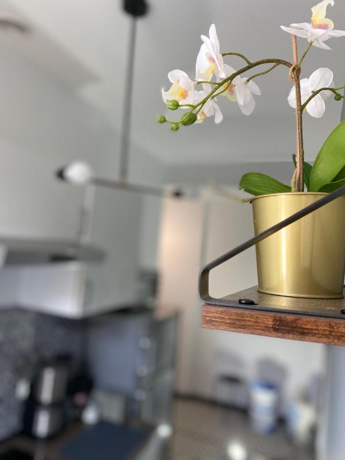 Angel Apartment Taczaka بوزنان المظهر الخارجي الصورة